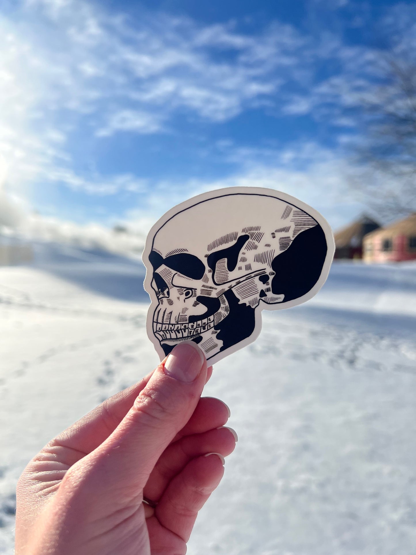 Skull Sticker