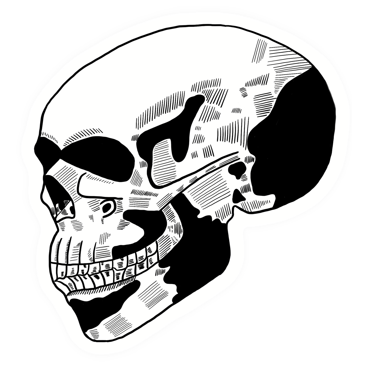 Sticker - Skull