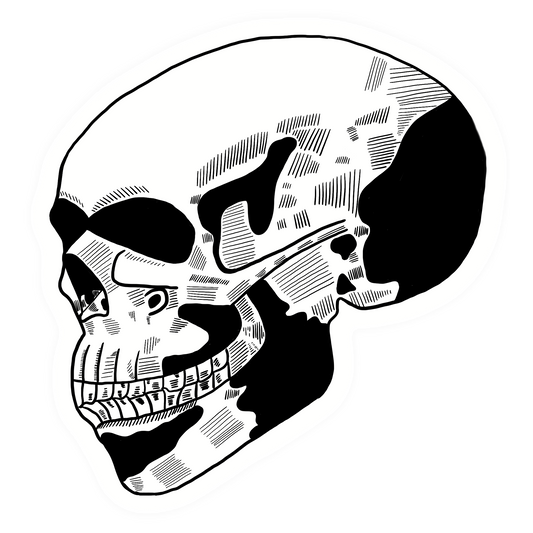 Sticker - Skull